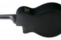 Ibanez AEG721