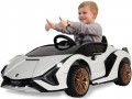 Jamara Lamborghini Sian FKP 37