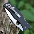 Spyderco Bodacious