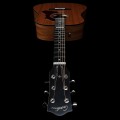 Godin Metropolis Composer LR Baggs Element