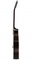 Gibson L-00 Special