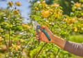 GARDENA PremiumCut 12242-20