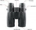 Vector Optics Victoptics 10x42