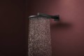 Hansgrohe Raindance Alive S 300 24540000