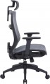 OfficePro Balance OC620