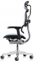 Comfort Ergohuman Elite 2