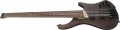 Ibanez EHB605
