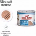 Royal Canin Starter Mousse 195 g