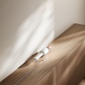 Xiaomi Vacuum Cleaner P30