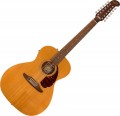 Fender Villager