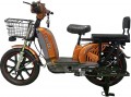 Forte EM 219WS