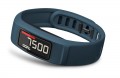 Garmin Vivofit 2