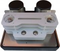 Mastersound Final 300B Monoblock Plus