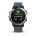 Garmin Fenix 5