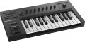 Native Instruments Komplete Kontrol A25