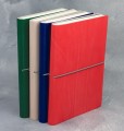 Ciak Plain Notebook large Green