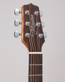 Takamine GX18CE