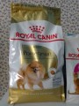 Royal Canin Adult Pomeranian 0.5 kg