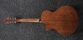 Ibanez AE2912