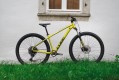 Cube Analog 29 2022