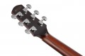 Ibanez AAD440CE