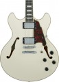 DAngelico Premier DC
