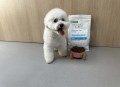 Natures Protection Veterinary Diet Hypoallergenic 1.5 kg