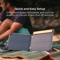 BioLite SolarPanel 10+