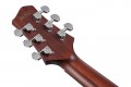 Ibanez JGM10