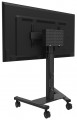 NewStar FL50S-825BL1