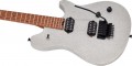 EVH Wolfgang WG Standard