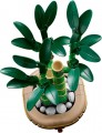 Lego Lucky Bamboo 10344