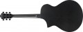 Ibanez AEWC621