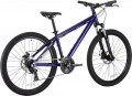 Pride Marvel 6.1 2025 frame XS