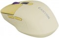Canyon CNS-CMSW26