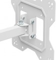 Kivi Motion-223