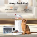 Petkit YumShare Solo