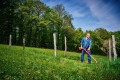 Einhell GP-CT 36/35 Li BL-Solo