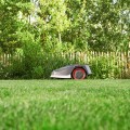AL-KO Robolinho 1300 W