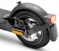 Argento AG23