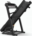 Generation Fitness Amalia