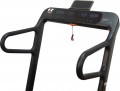 Generation Fitness Amalia
