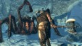 Bethesda The Elder Scrolls V: Skyrim