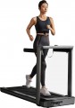 KingSmith Fitness Walkingpad X25+