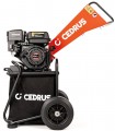Cedrus RB01C