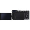 Panasonic DC-L10