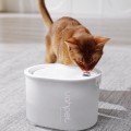 Uahpet Glow