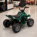 Bambi M6242EL