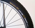 Continental Race King 29x2.2