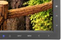 NEC EA295WMi